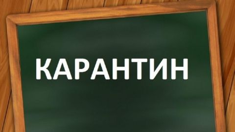 Карантин